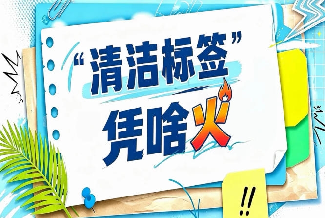 展会新闻